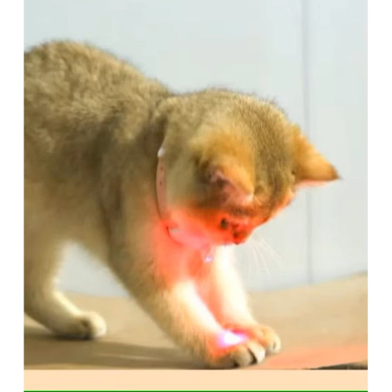 PetLaser Otomatik Lazer Oyun Tasması