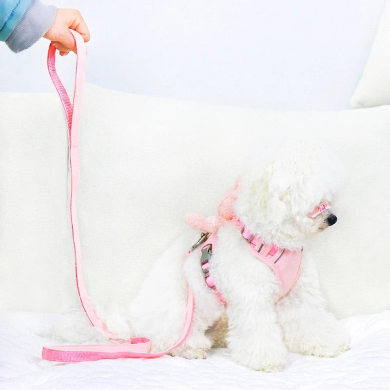 PetBear Peluş Ayıcıklı Göğüs Gezdirme Tasması Set