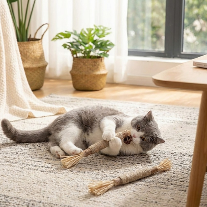 Matatabi Çiğneme Çubuğu - PetStick