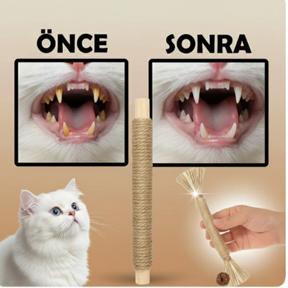 Matatabi Çiğneme Çubuğu - PetStick