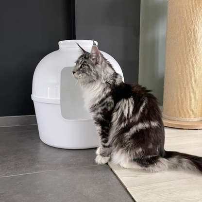 PetFlora Dekoratif Kedi Tuvaleti/Evi Beyaz