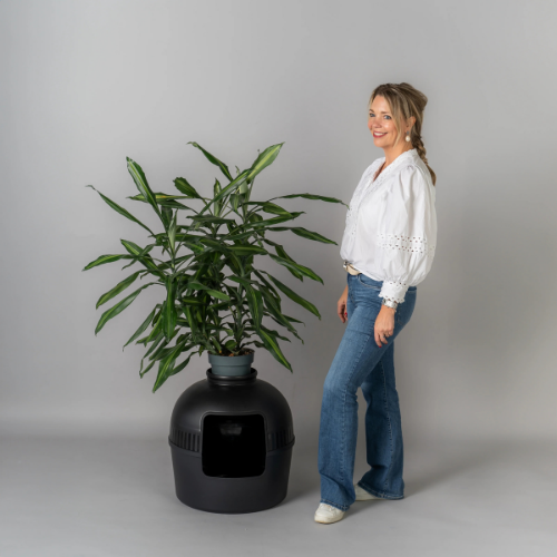 PetFlora Dekoratif Kedi Tuvaleti/Evi Siyah