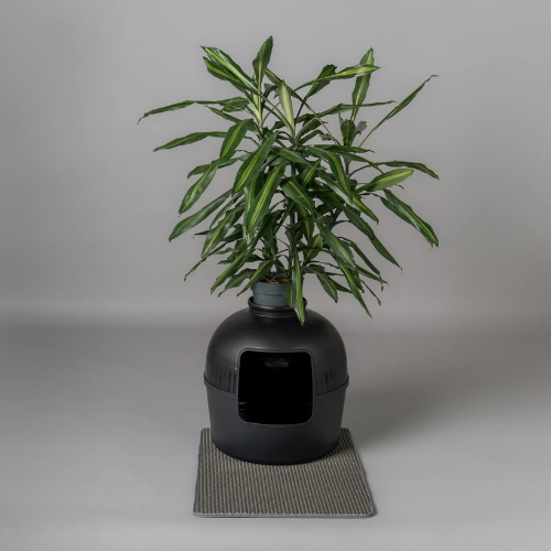 PetFlora Dekoratif Kedi Tuvaleti/Evi Siyah