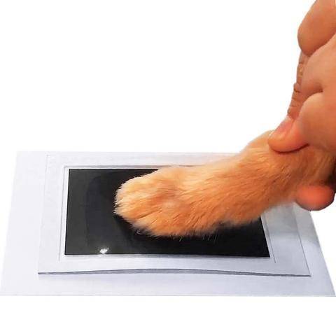 Kedi Köpek Pati İzi Fotoğraf Çerçevesi Seti - Petİz