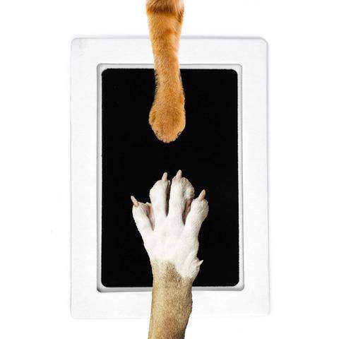 Kedi Köpek Pati İzi Fotoğraf Çerçevesi Seti - Petİz