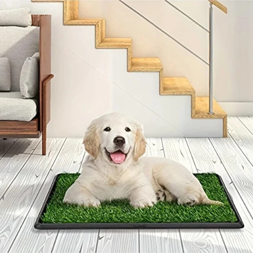 PetStep Sızdırmaz Köpek Tuvalet Pedi