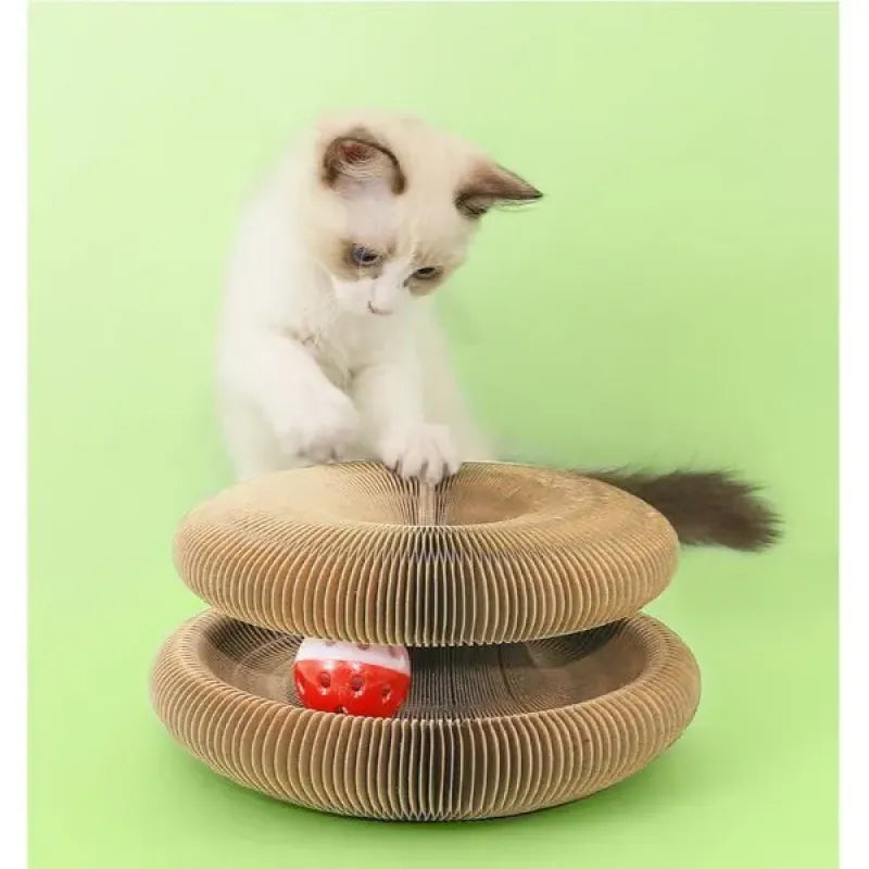 PetTwist Şekillendirilebilir Kedi Oyun Alanı