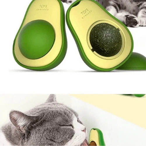 Petrikado Catnip Kedi Çimi Topu Oyuncağı