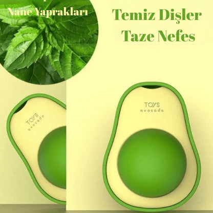 Petrikado Catnip Kedi Çimi Topu Oyuncağı