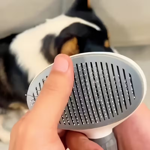 Tuşlu Otomatik Tüy Toplama Tarama Fırçası - PetBrush