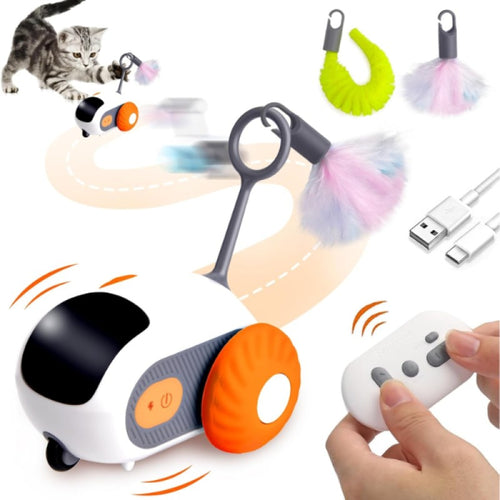 Petriplay Uzaktan Kumandalı Akıllı Kedi Oyuncağı