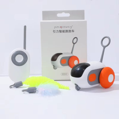 Petriplay Uzaktan Kumandalı Akıllı Kedi Oyuncağı